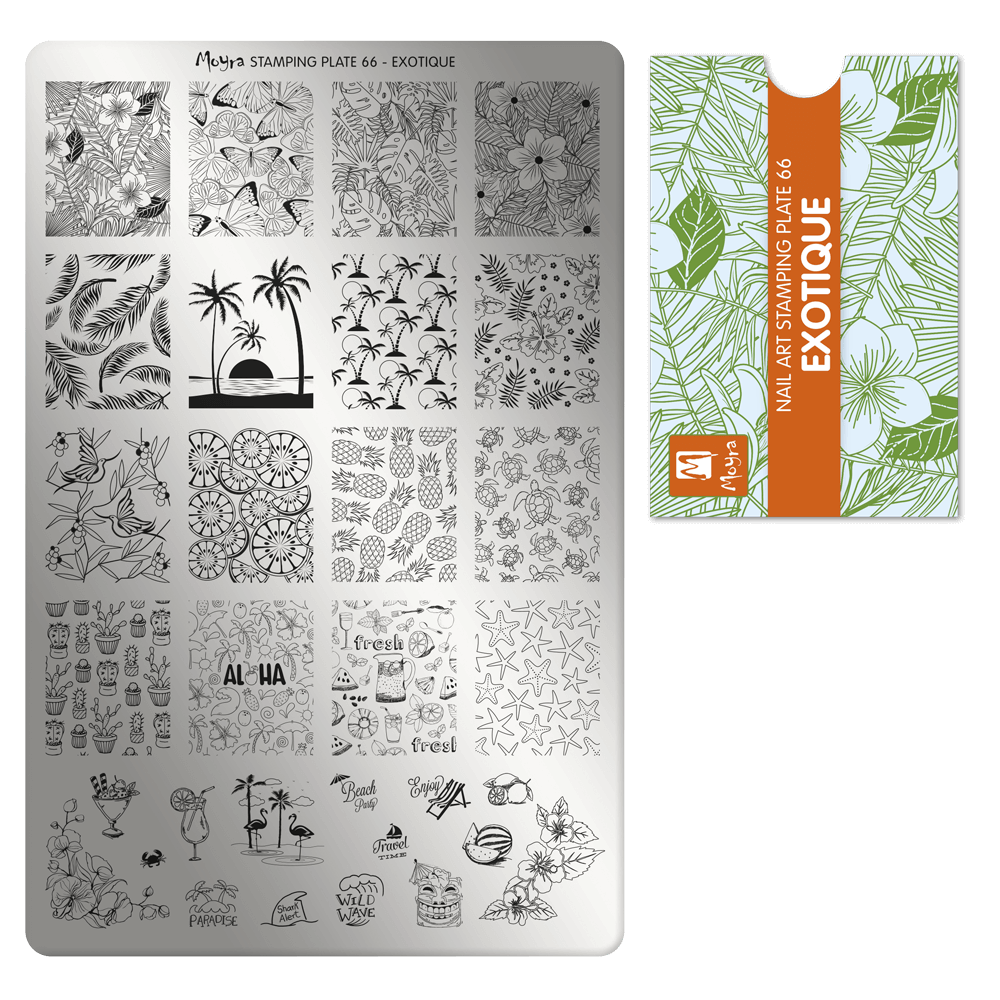 Matrita Moyra - nr.66